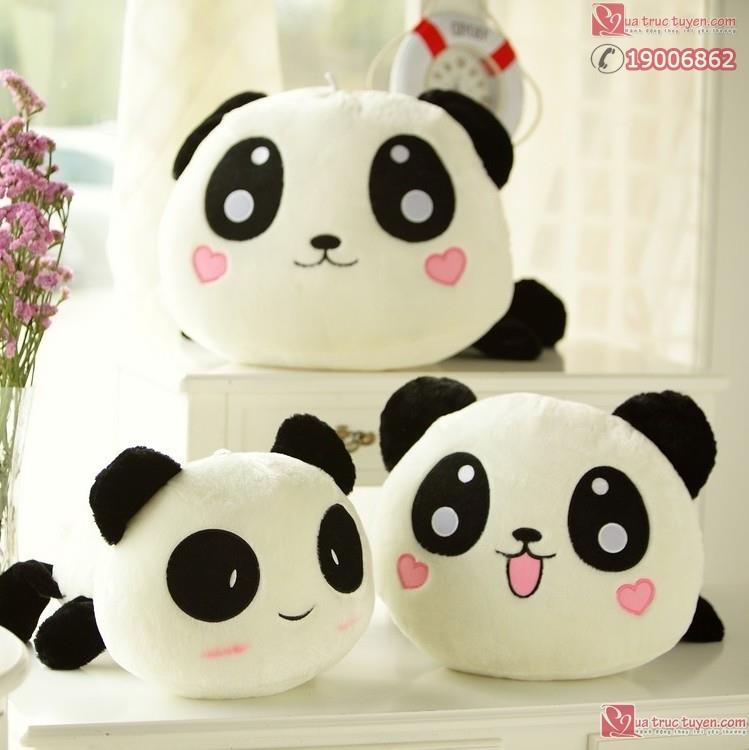 PK Chuột quang gấu trúc - Ảnh 20