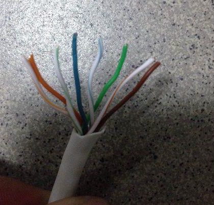 PK Cáp mạng trắng 1m dày