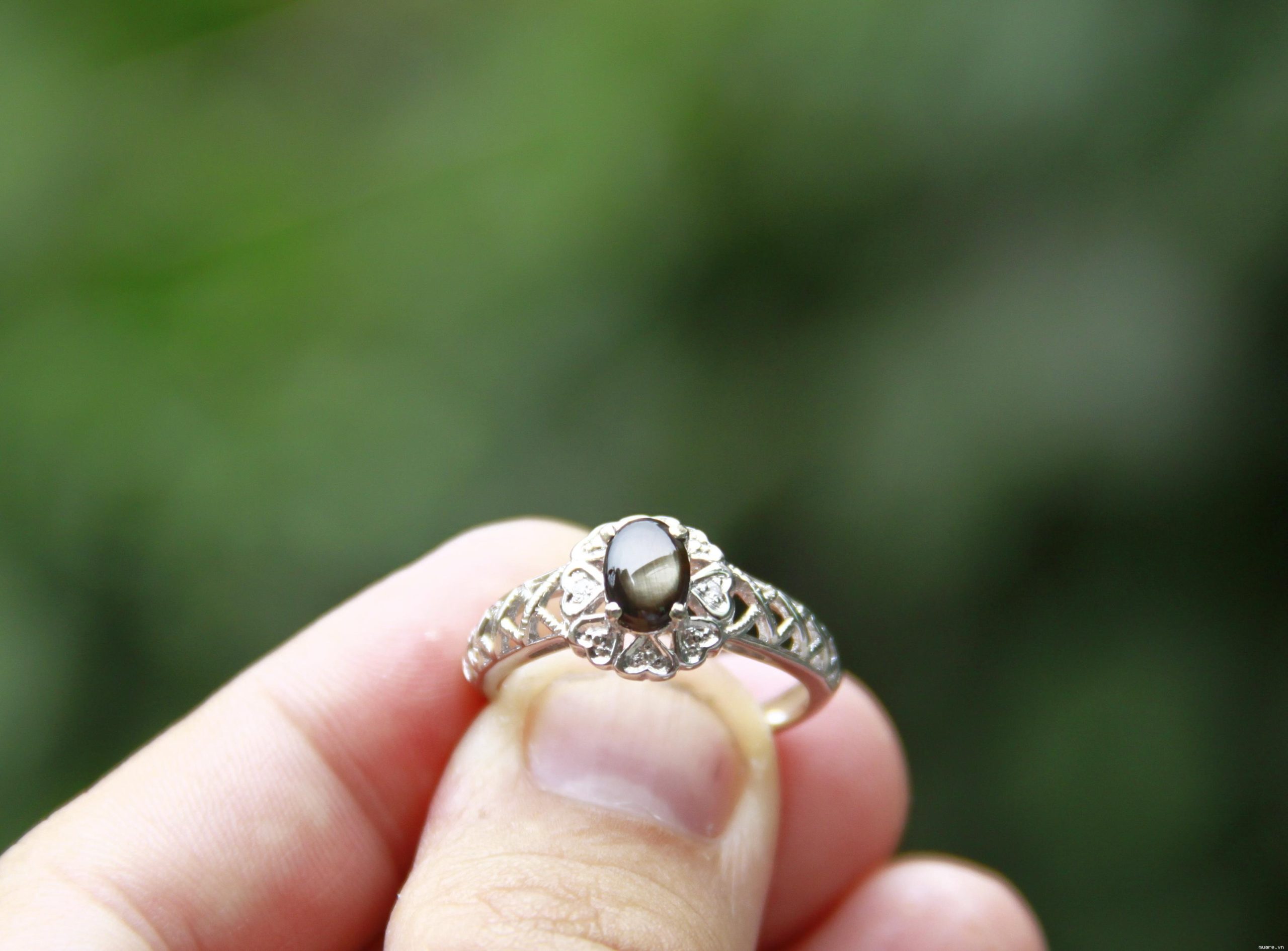 PK Nhẫn Ringing - Ảnh 17
