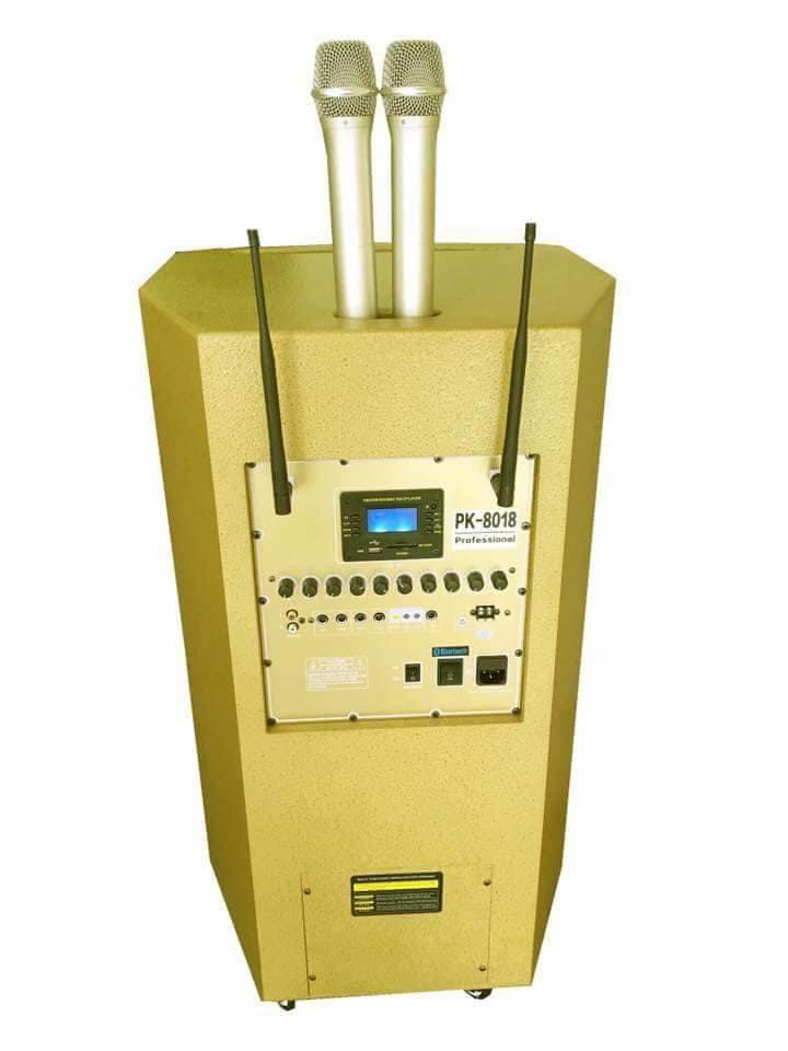 PK Jac 3.5 ra 6.5 vàng - Ảnh 2