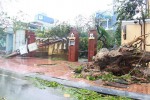 PK Bao Da OT - Ảnh 8