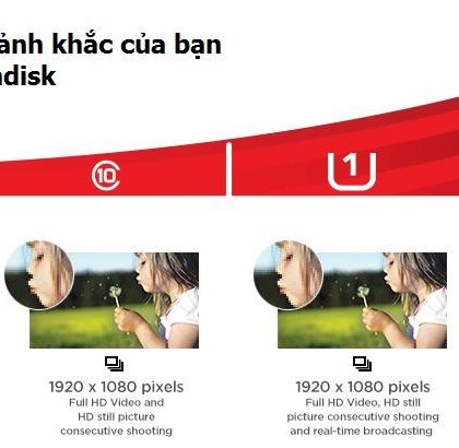 PK Thẻ nhớ Sandisk Ultra 16G 80MB/s