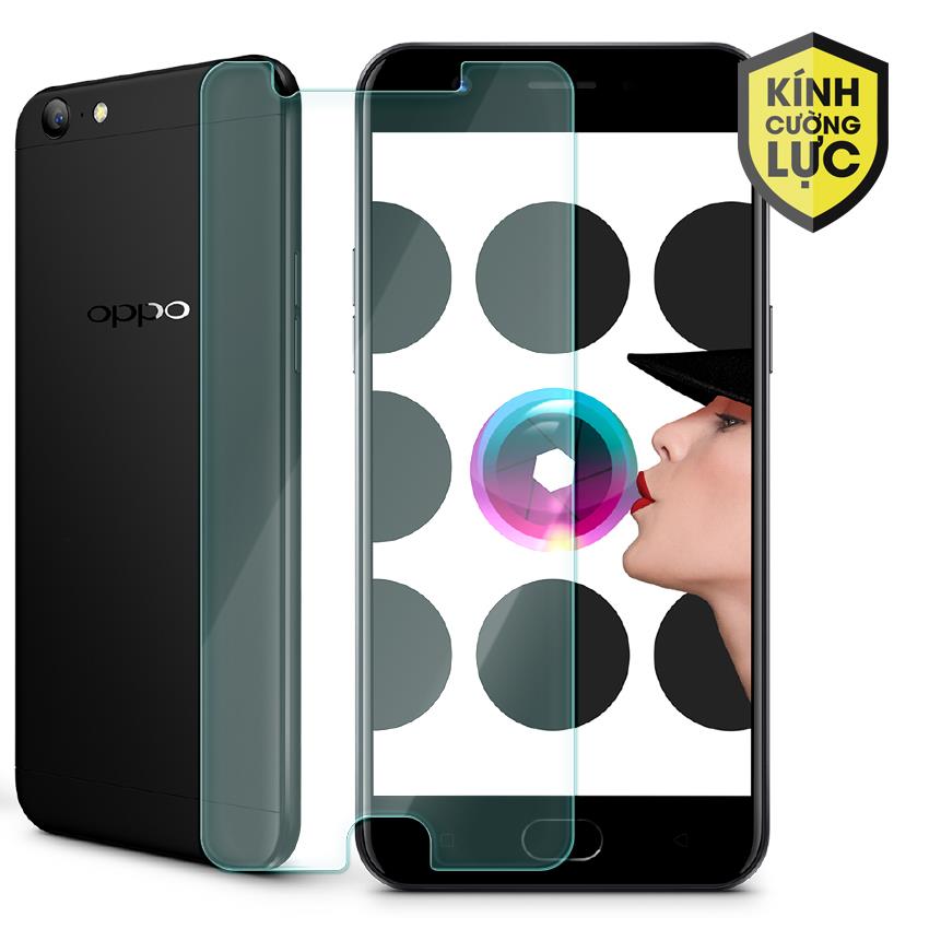 PK Dán Cường Lực OPPO F3+ Arun - Ảnh 2